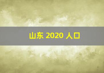 山东 2020 人口